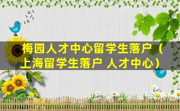 梅园人才中心留学生落户（上海留学生落户 人才中心）